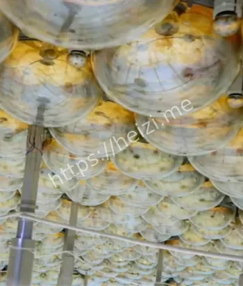 江门中微子实验启动